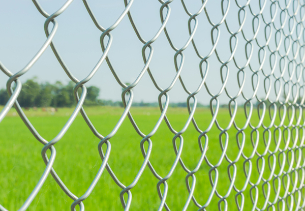 Chain Link Fence - United General Service (UGS) 1